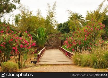 agadir city morocco Olhao Park 1960 garden bridge