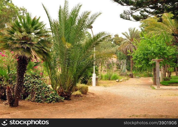 agadir city morocco Olhao Park plants garden