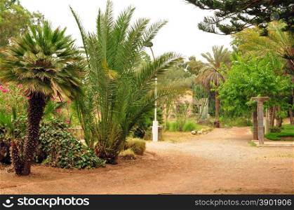 agadir city morocco Olhao Park plants garden