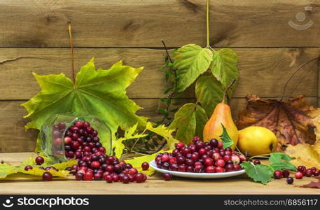 Against the background of a wooden surface surrounded by yellow autumn leaves lie pears and cranberries in a glass and fallen white saucer