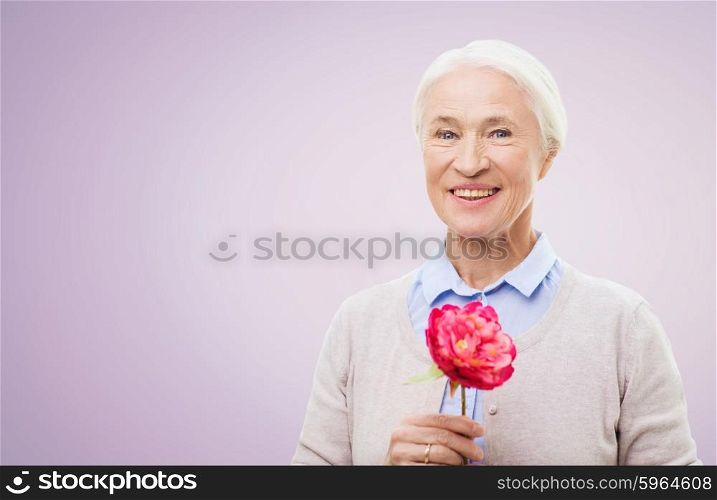 age, holidays and people concept - happy smiling senior woman with flower over violet background
