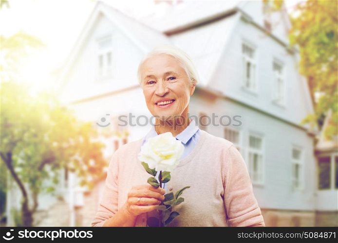 age, holidays and people concept - happy smiling senior woman with white rose flower at home. happy senior woman with rose flower at home. happy senior woman with rose flower at home