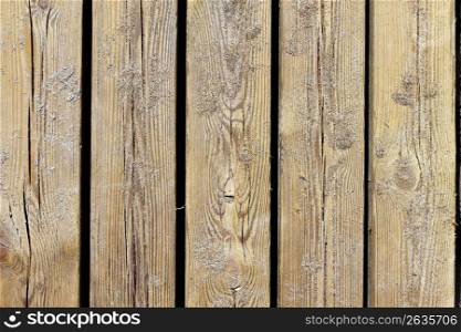 aged beach wood texture macro detail with sand background