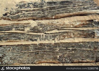 aged beach wood texture with sand weathered grunge