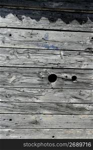 Aged gray sea coastline wood texture background pattern