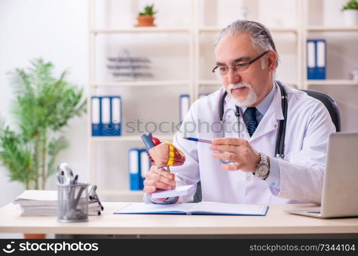 Aged male doctor cardiologist with heart model 