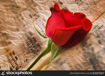 Aged notes with grease spots and red rose. Musical background&#xA;