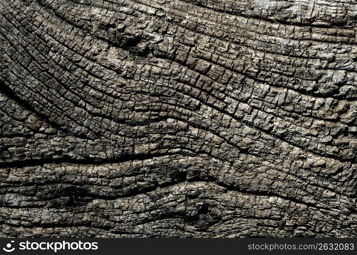 Aged old gray wood macro, rough texture for background