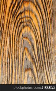 aged old pine wood grunge texture background