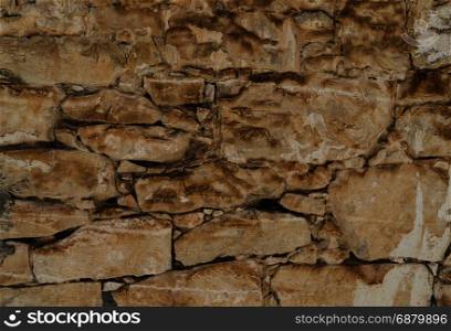 Aged shell rock Stone wall texture or background. Large resolution