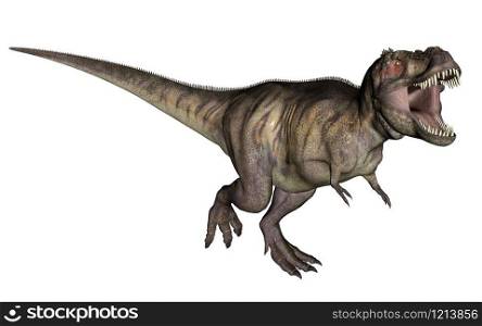 Aggressive tyrannosaurus rex with open mouth in white background. Tyrannosaurus dinosaur