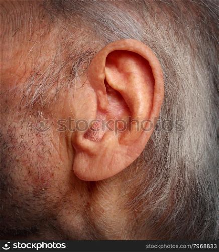 Aging hearing loss with an elderly ear close up of an old man with grey hair as a health care medical concept of losing the ability and human sense of hearing due to age and disease.