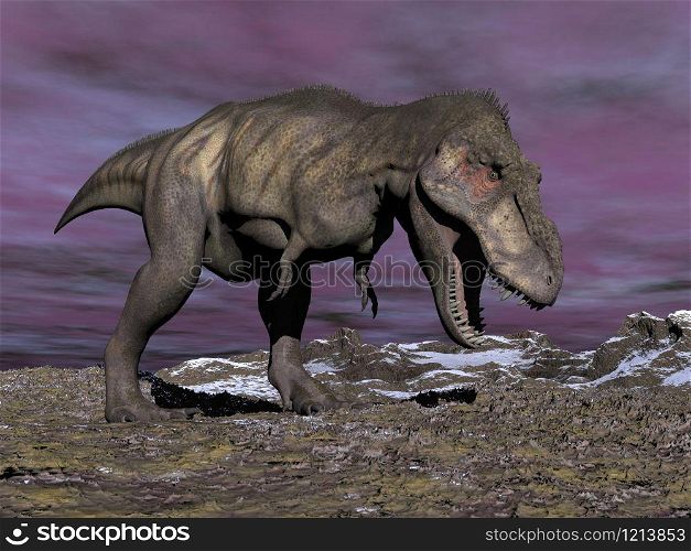 Agressive tyrannosaurus dinosaur walking in the desert by cloudy winter day with its mouth open showing his teeth