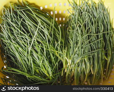 agretti (Salsola soda) aka as opposite-leaved saltwort, Russian thistle or barilla plant vegetables vegetarian and vegan food. agretti (Salsola soda) vegetables food