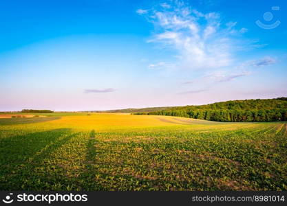 agricultural agriculture background