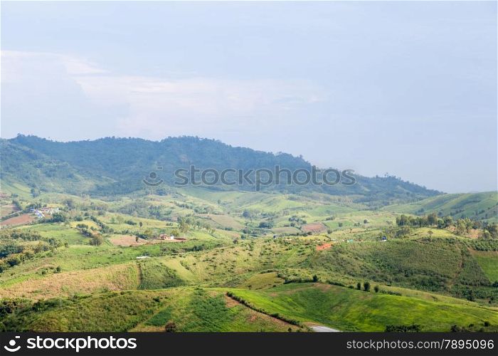 Agricultural areas in the mountains. Zoning, agricultural plantations on forest land from the villagers.