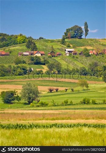 Agricultural countryside landscape vertical view in Prigorje county of Croatia