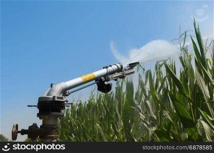 Agricultural equipment. Equipment pumping water on field of corn.Water sprinkler