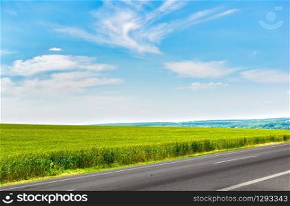 Agricultural field and asphalted highway at sunny summer day. Field and highway
