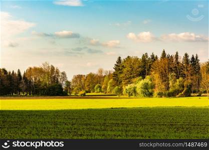 Agricultural field and forest landscape in Austria. Green trees on beginning of spring. Sunset scenery.. Agricultural field and forest landscape in Austria. Green trees on beginning of spring