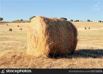 Agricultural field on which lie a straw stack