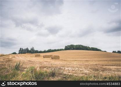 Agricultural field with hay bales in cloudy weather