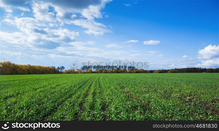 Agricultural fields and meadows in Europe
