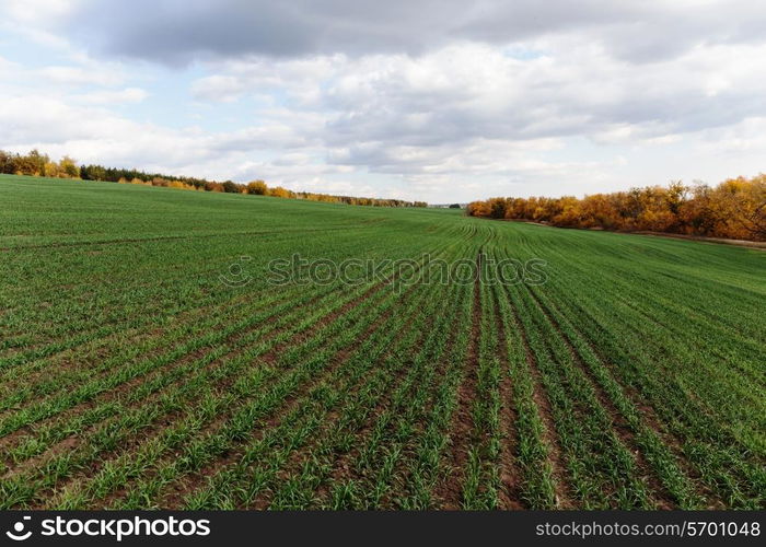 Agricultural fields and meadows in Europe