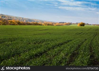 Agricultural fields and meadows in Europe