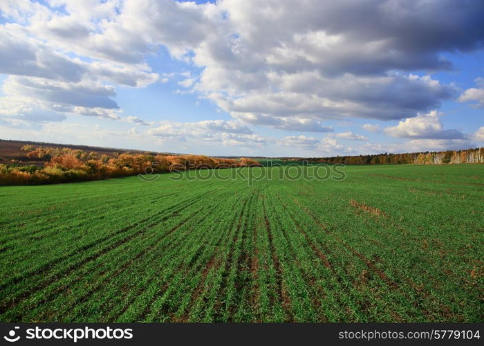 Agricultural fields and meadows in Europe