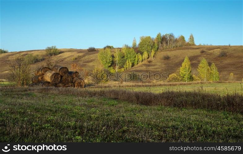 Agricultural fields and meadows in Europe in the fall