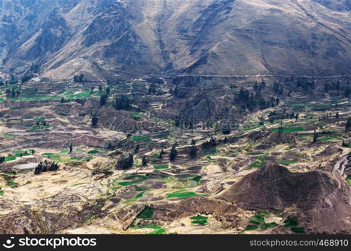 agricultural fields and the road in the Andes