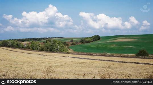 Agricultural fields in the countryside