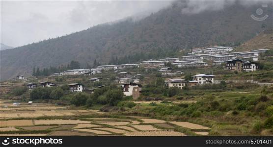 Agricultural fields with town in the background, Paro District, Bhutan