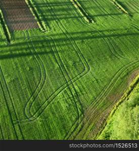 Agricultural green fields birds eye view long shadows. Agricultural land