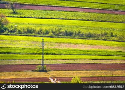 Agricultural horizontal layers fields and green meadows