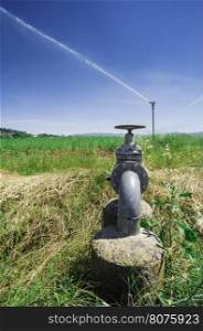 Agricultural irrigation systems. Sprinkler and tubes