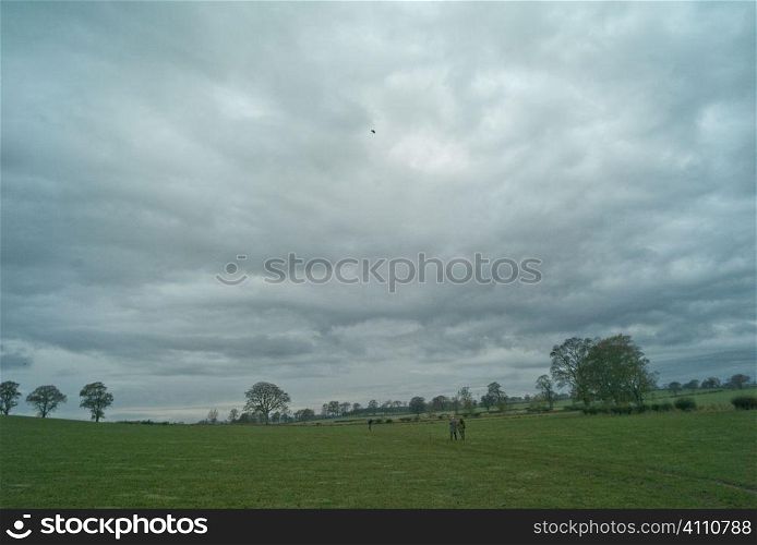 Agricultural land, Berwickshire, Scotland
