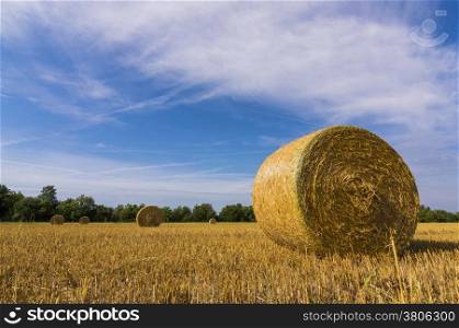Agricultural landscape and hay bales