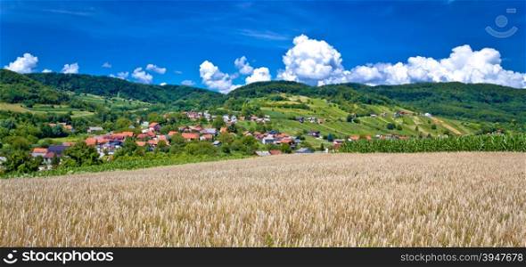 Agricultural landscape and village by the hill, Sudovec village of Croatia