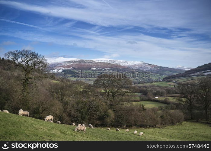 Agricultural landscape in Winter with snow capped mountain range in background