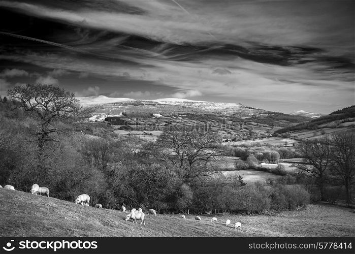 Agricultural landscape in Winter with snow capped mountain range in black and white