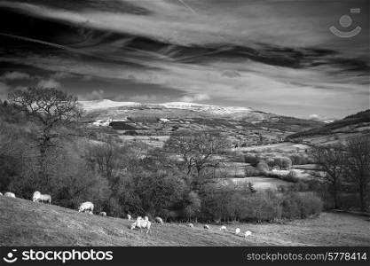 Agricultural landscape in Winter with snow capped mountain range in black and white