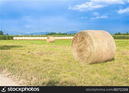 Agricultural landscape with hay bales and a blue sky