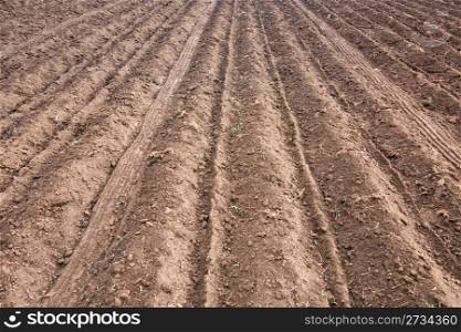 Agricultural scenery: strip of ploughed earth