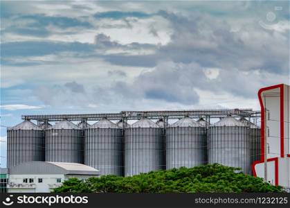 Agricultural silo at feed mill factory. Big tank for store grain in feed manufacturing. Seed stock tower for animal feed production. Commercial feed for livestock, swine and fish industries.