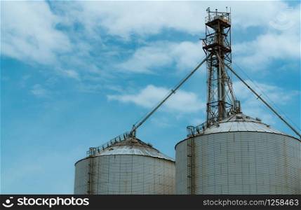 Agricultural silo at feed mill factory. Silo for store and drying grain, wheat, corn at farm. Agricultural manufacturing. Tank for store seed. Grain stock tower. Agriculture industry. Farm management.