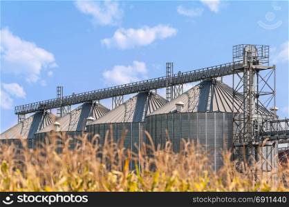 Agricultural storage tanks. Silos for storing cereals. Countryside scene.