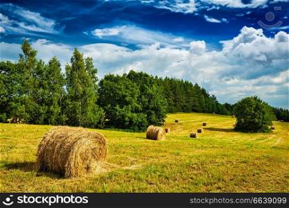 Agriculture background - Hay bales on field in summer. Hay bales on field