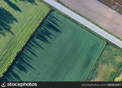 agriculture cropland aerial view